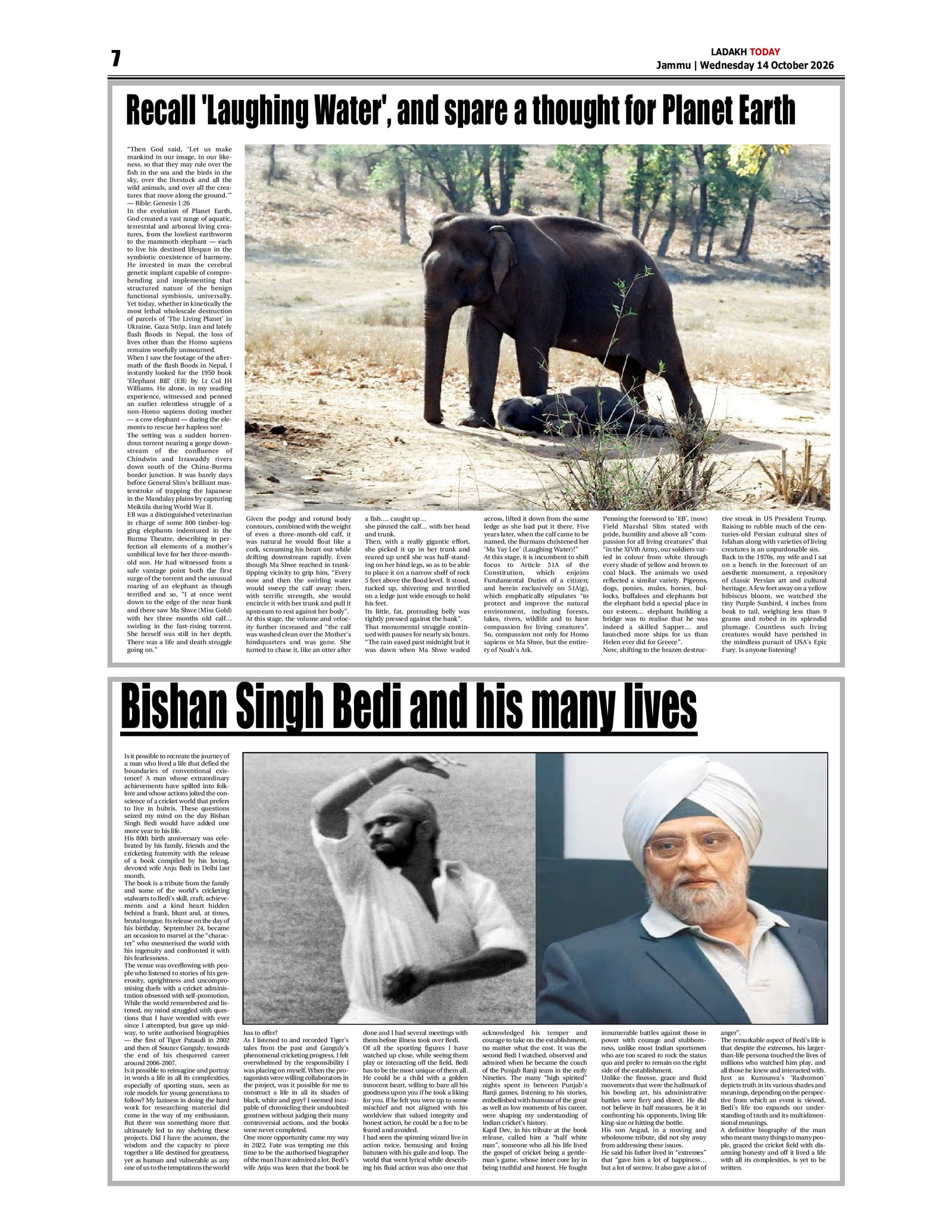 Page 7